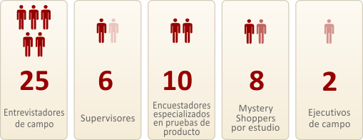 25 entrevistadores, 6 supervisores, 10 encuestadores, 8 mysterys por esudio, 2 ejecutivos de campo