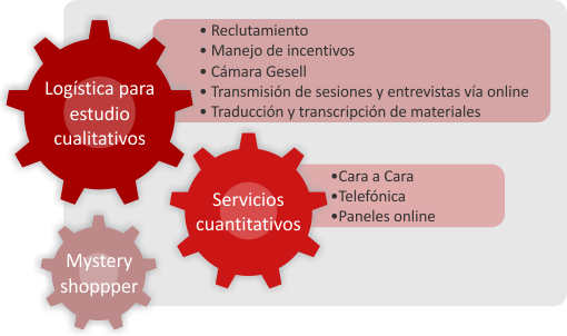 Logística, servicios y Mystery Shoppers